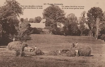 carte postale TYPES CREUSOIS 1903-1920 015097 Photo