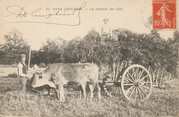carte postale AU PAYS CREUSOIS. RENTREE DU FOIN 1912 015099 Photo