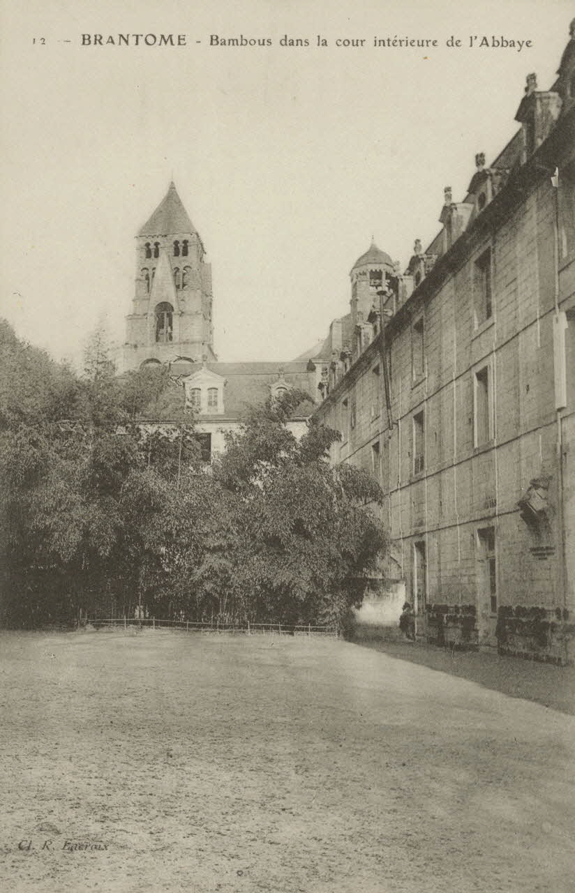 carte postale BAMBOUS DANS LA COUR INTERIEURE DE L'ABBAYE Dordogne 1903-1920 015201 Photo
