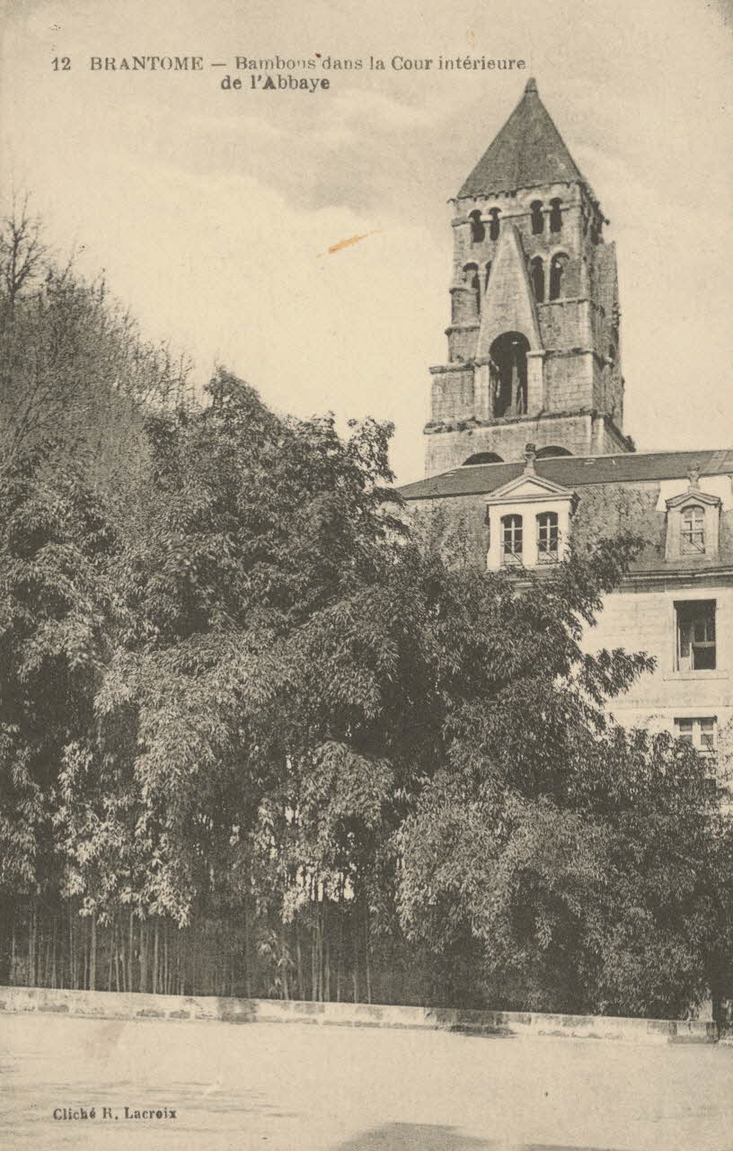 carte postale BAMBOUS DANS LA COUR INTERIEURE DE L'ABBAYE Dordogne 1903-1920 015202 Photo