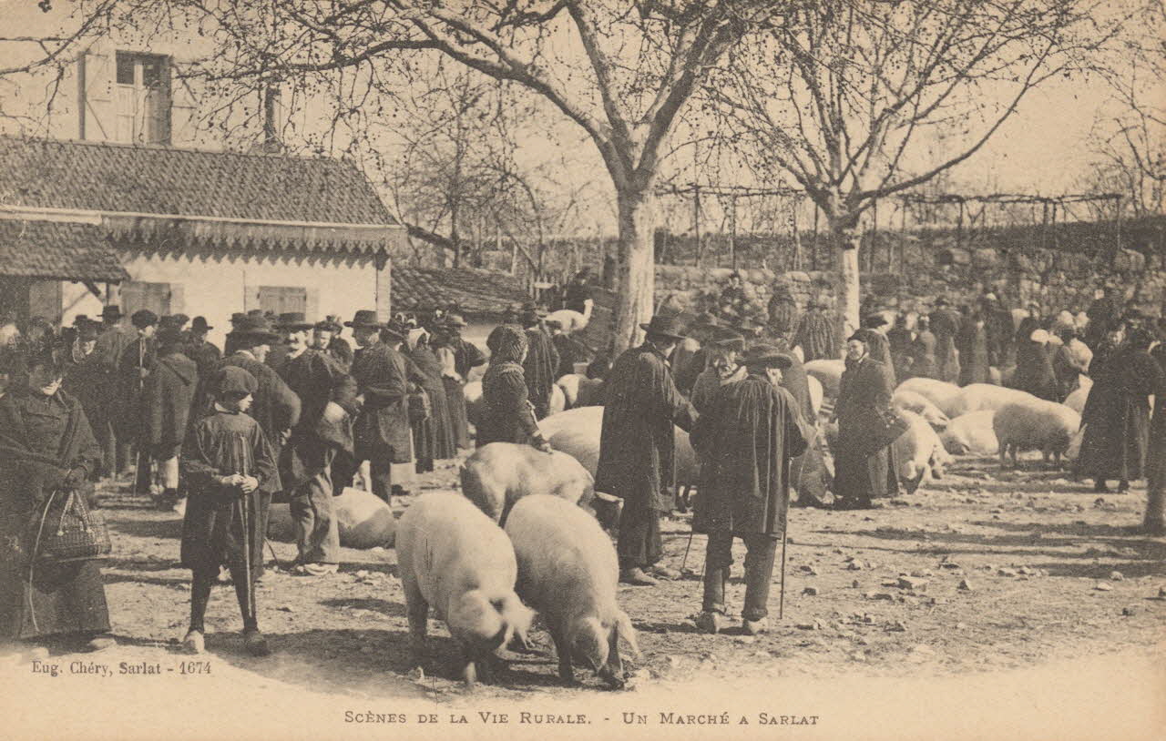 carte postale UN MARCHE A SARLAT Dordogne 1903-1920 015344 Photo