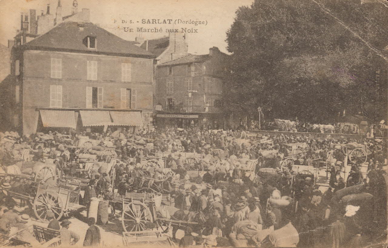 carte postale UN MARCHE AUX NOIX Dordogne 1919 015346 Photo
