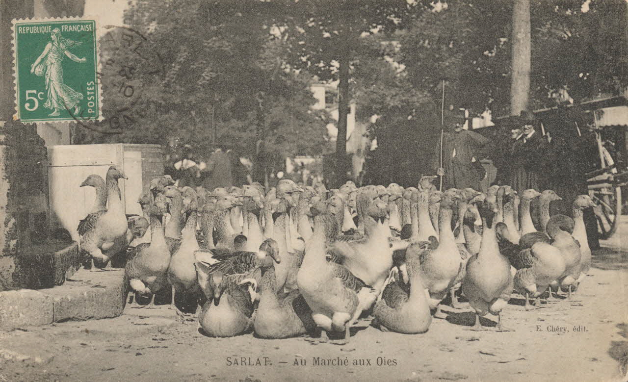 carte postale AU MARCHE AUX OIES Dordogne 1911 015347 Photo