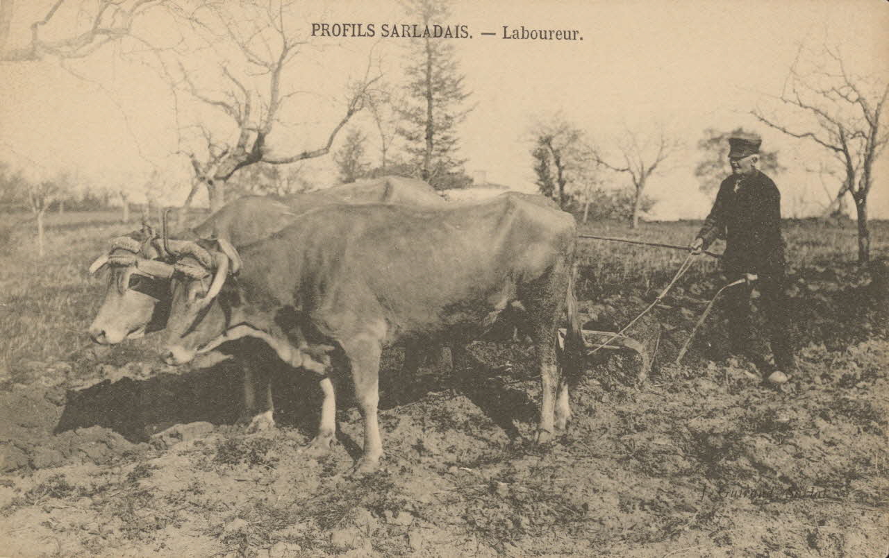 carte postale PROFILS SARLADAIS. LABOUREUR Dordogne 1903-1920 015367 Photo