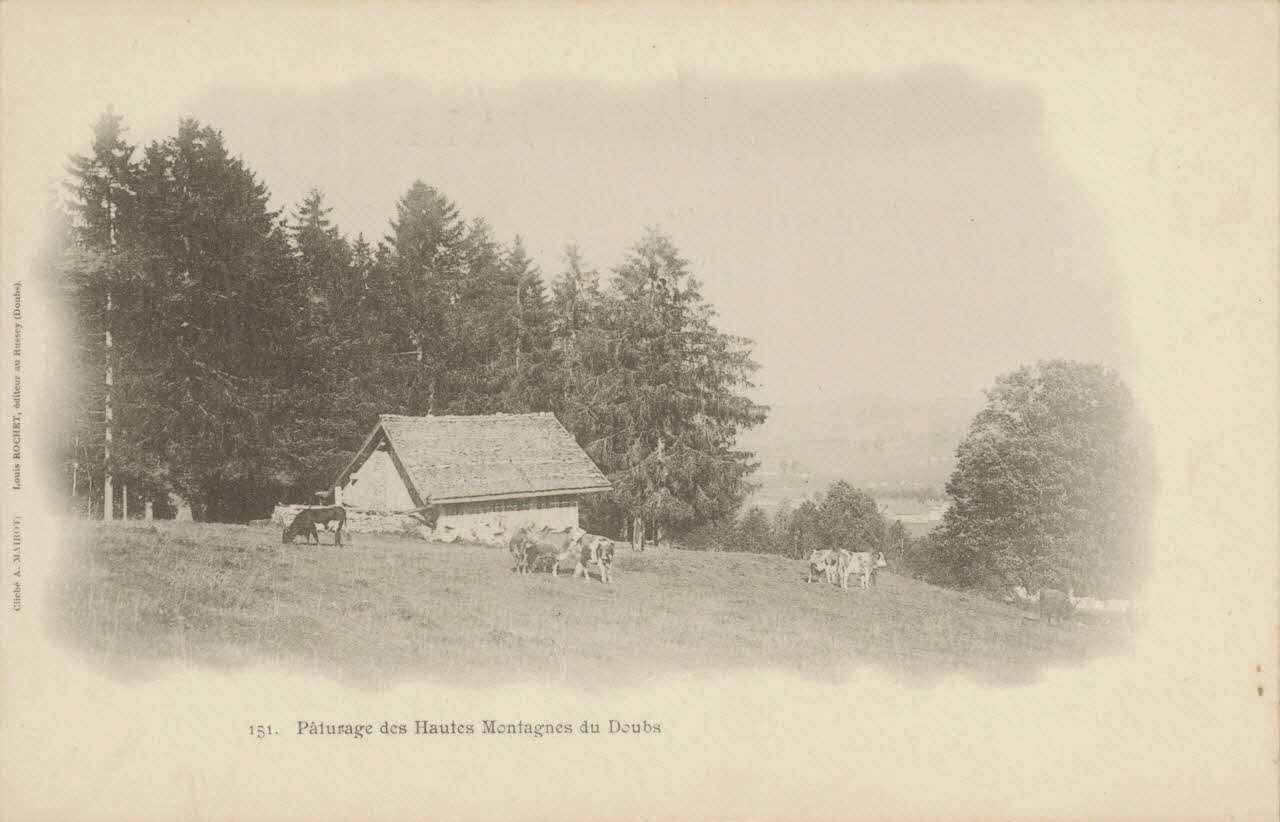 carte postale PATURAGE HAUTES MONTAGNES-DOUBS 1903 015642 Photo