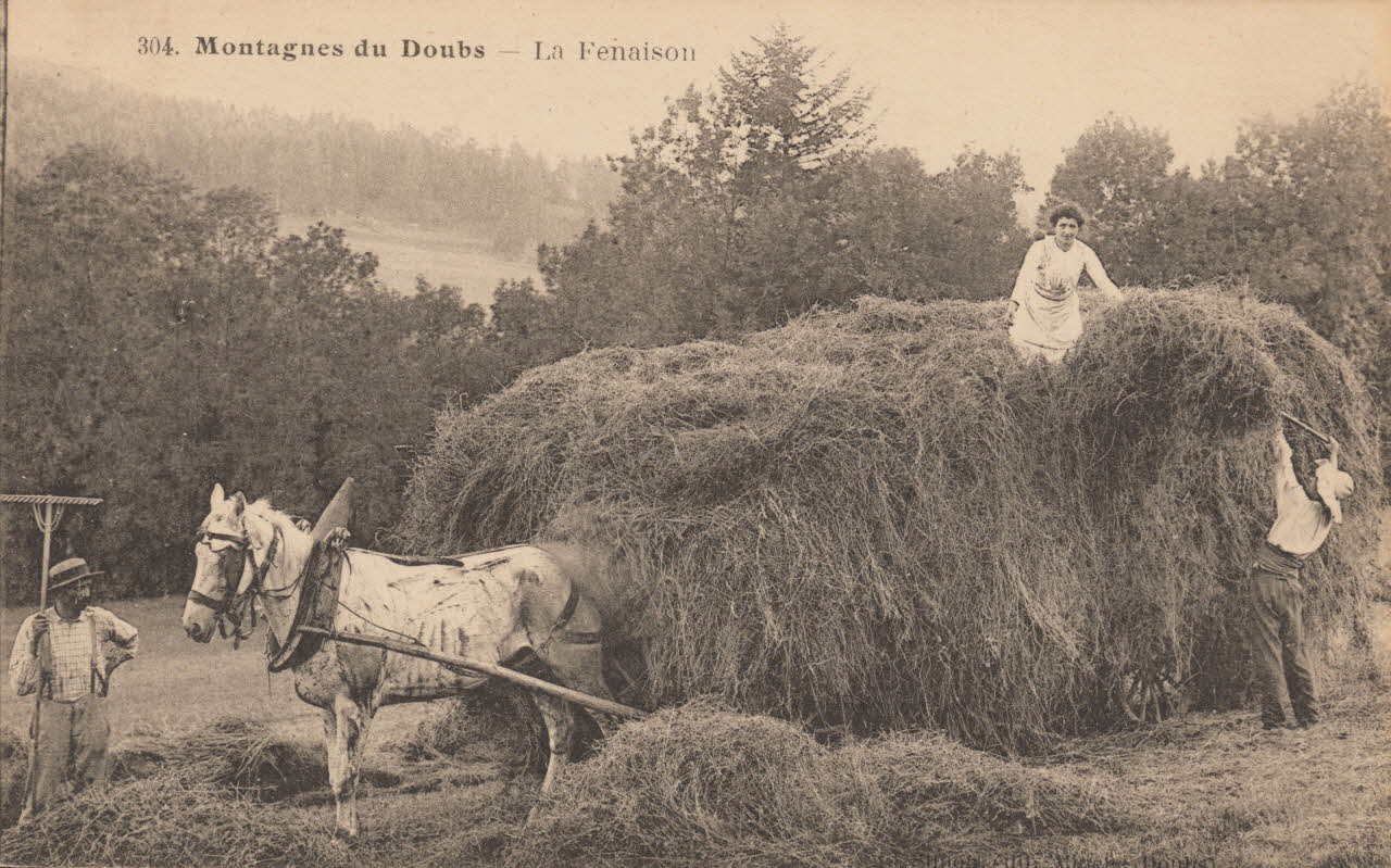 carte postale MONTAGNES DU DOUBS-LA FENAISON 1903-1920 015716 Photo