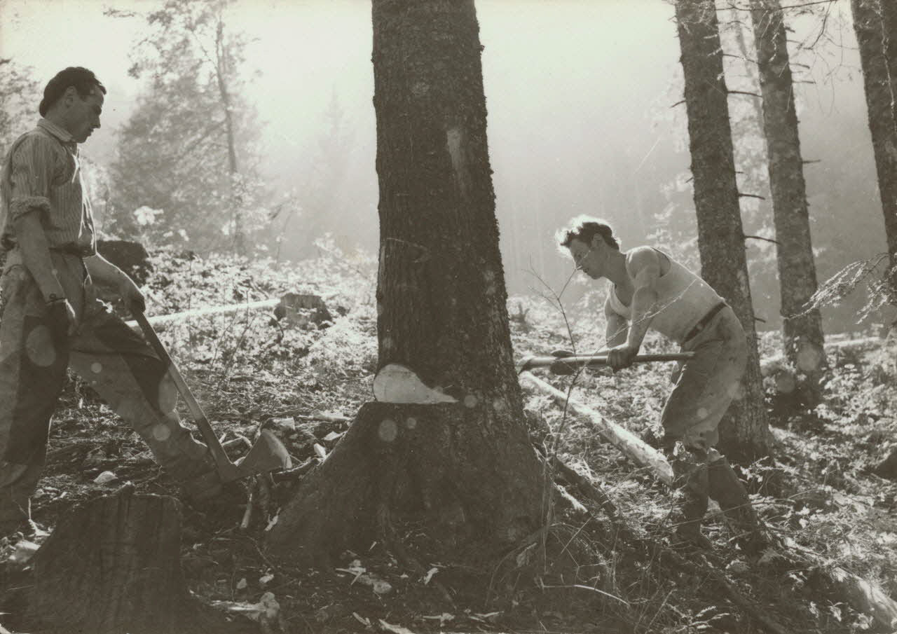 carte postale PAYSAGE DU HAUT-DOUBS. BUCHERONS 1950 015719 Photo