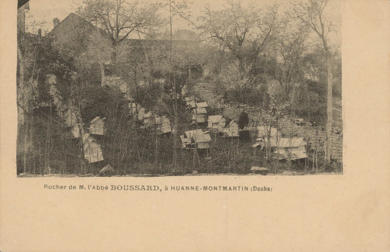 carte postale RUCHER DE M. L'ABBE BOUSSARD Doubs 1903-1920 015724 Photo