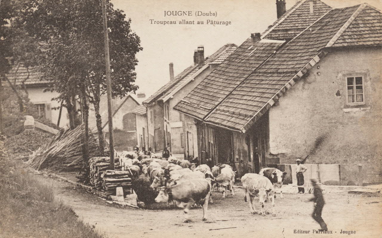 carte postale TROUPEAU ALLANT AU PATURAGE Doubs 1903-1920 015726 Photo