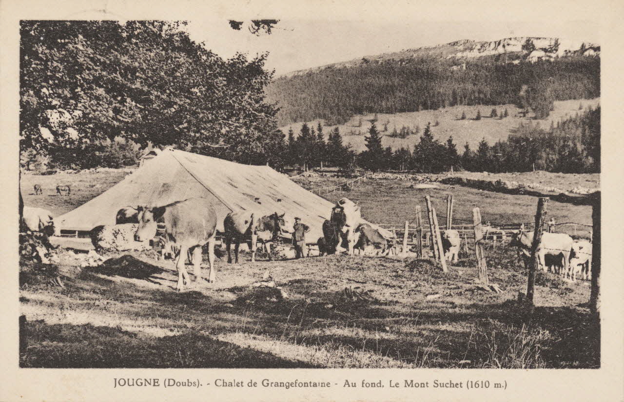 carte postale CHALET DE GRANGEFONTAINE. Doubs 1903-1920 015728 Photo