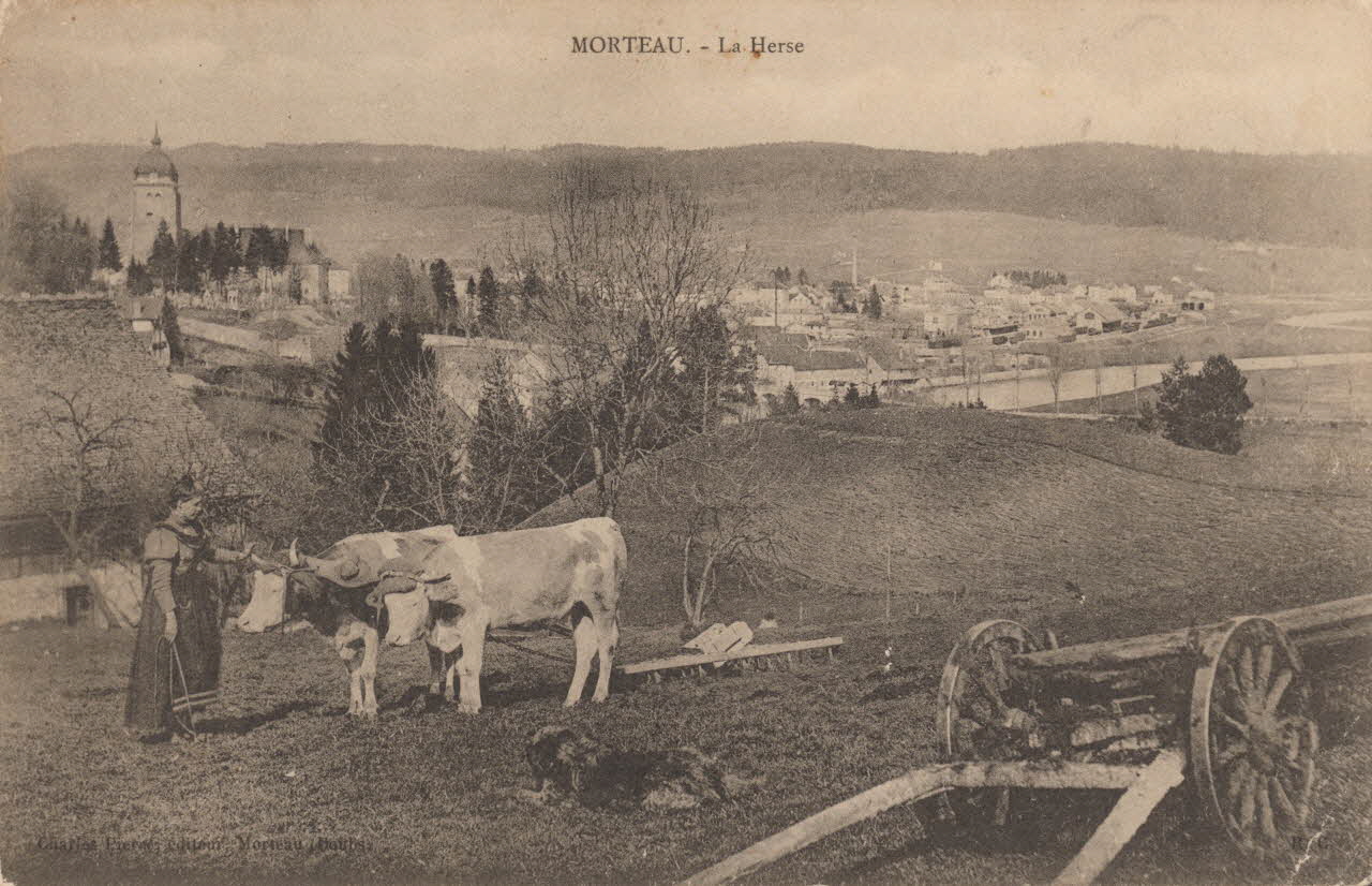 carte postale LA HERSE Doubs 1903-1920 015731 Photo