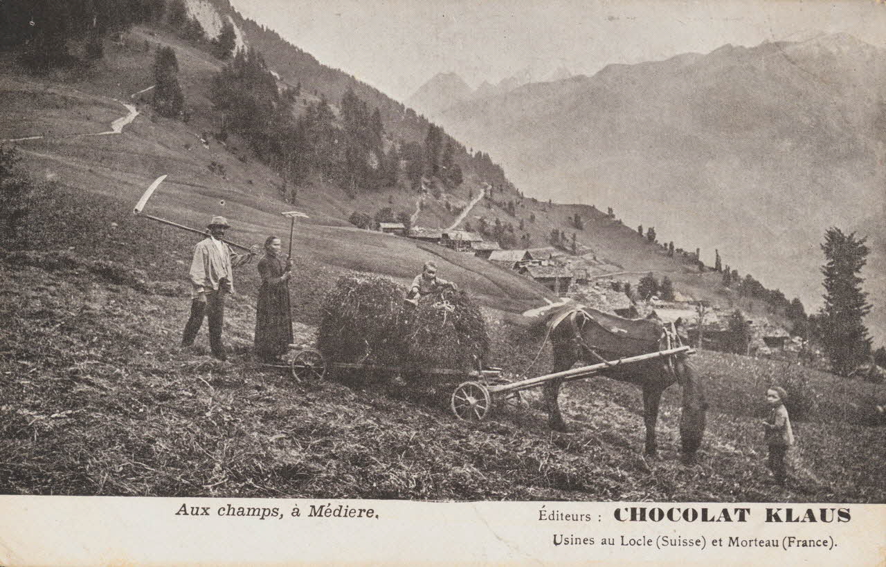 carte postale AUX CHAMPS Doubs 1903-1920 015916 Photo