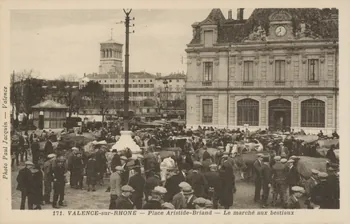 carte postale LE MARCHE AUX BESTIAUX Drôme 1921-1950 016029 Photo