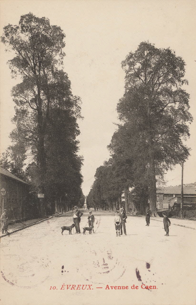 carte postale AVENUE DE CAEN Eure 1905 016366 Photo