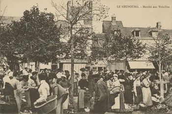 carte postale MARCHE AUX VOLAILLES Eure 1903-1920 016454 Photo