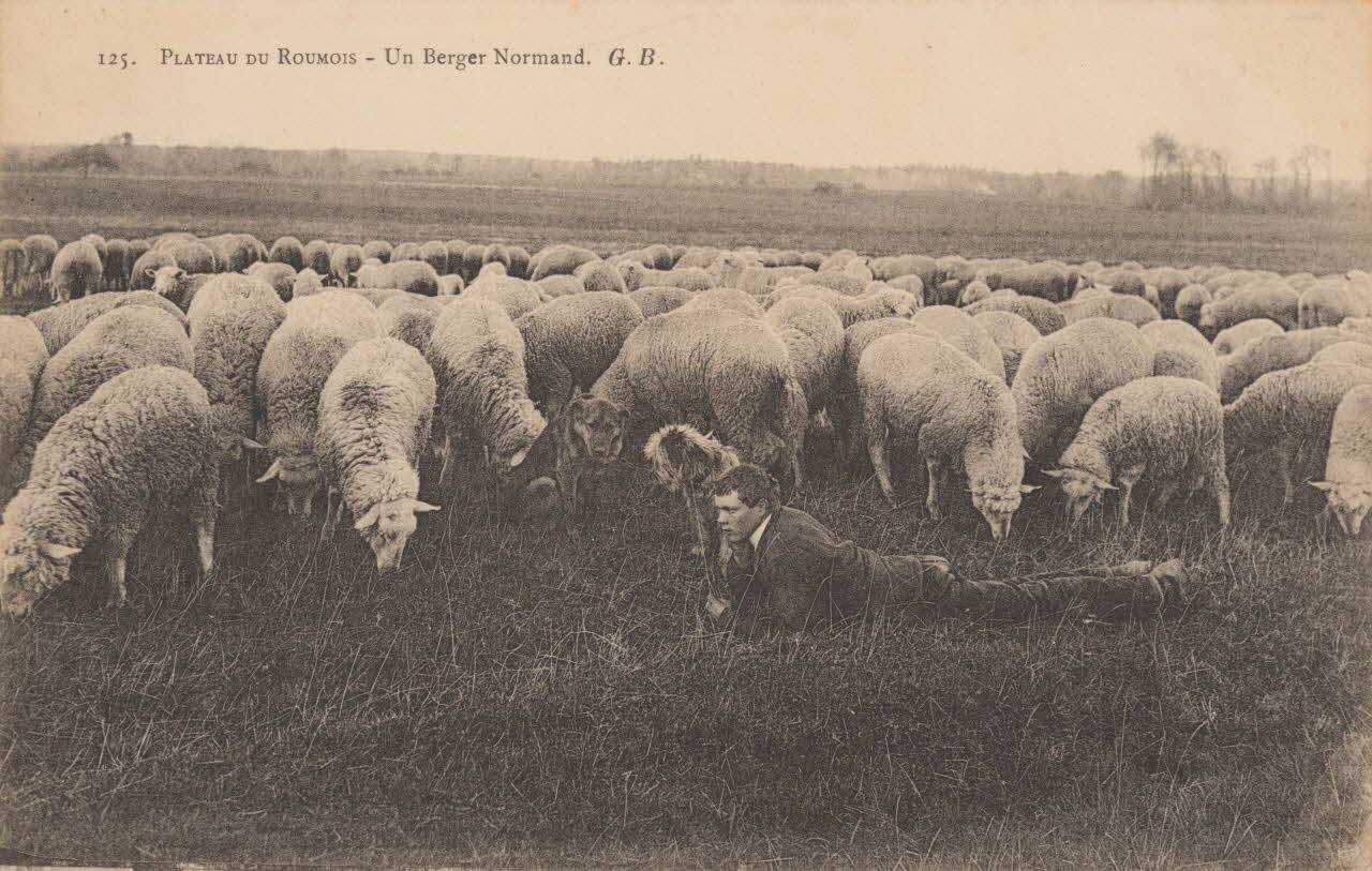 carte postale UN BERGER NORMAND Eure 1903-1920 016489 Photo