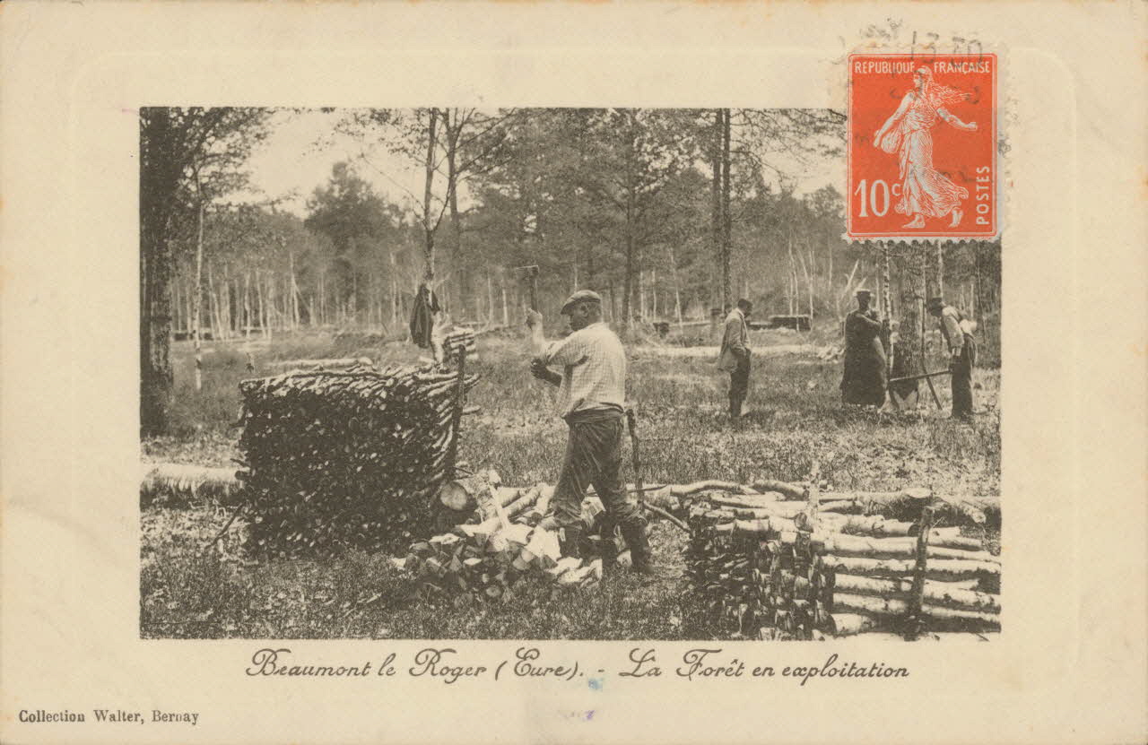 carte postale LA FORET EN EXPLOITATION. Eure 1912 016496 Photo