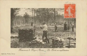 carte postale LA FORET EN EXPLOITATION. Eure 1912 016496  Photo