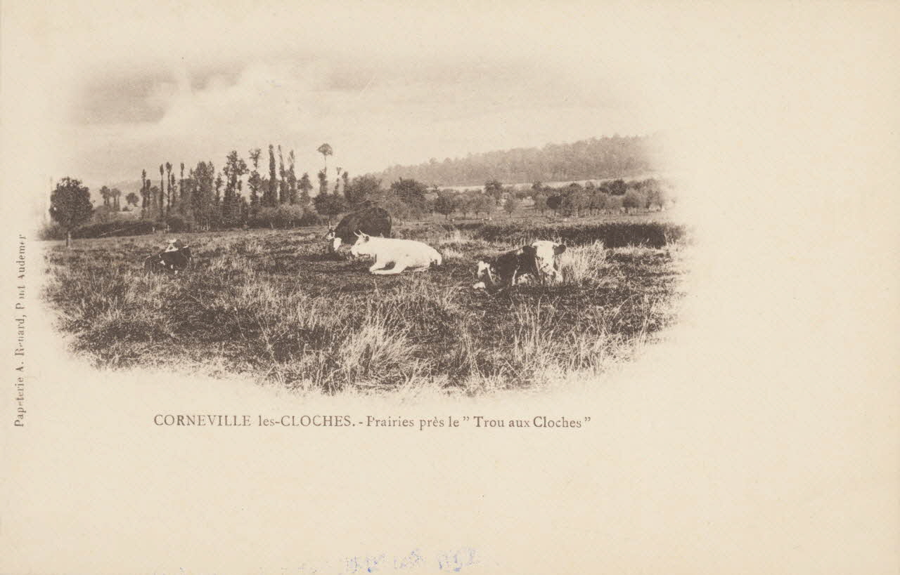 carte postale PRAIRIES PRES LE TROU AUX CLOCHES Eure 1903 016505 Photo
