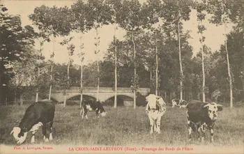 carte postale PATURAGE DES BORDS DE L'HEURE Eure 1915 016509 Photo