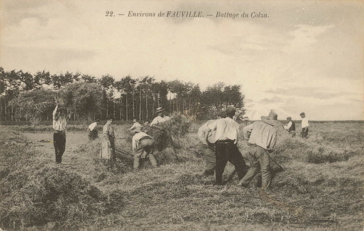 carte postale BATTAGE DU COLZA Eure 1903-1920 016515 Photo