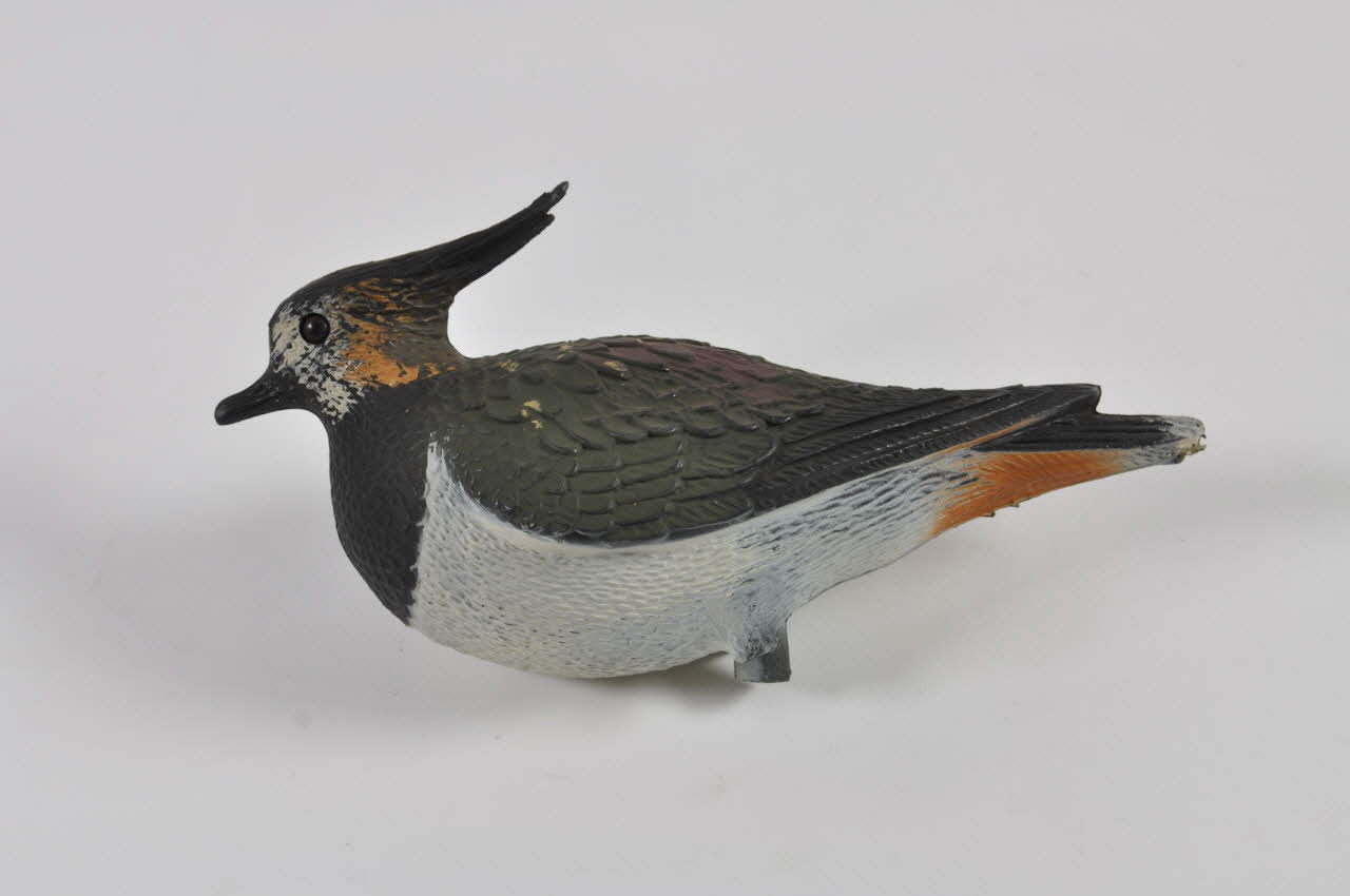 Sport Plas appelant Italie 1971 1971.11.1 Photo Mucem