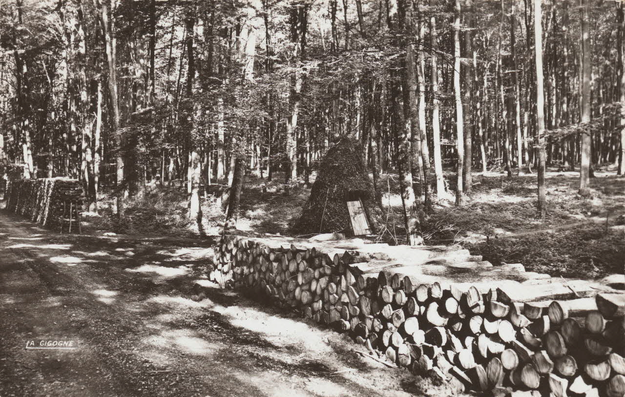 carte postale LYONS-LA-FORET. SOUS-BOIS Eure 1950 016522 Photo