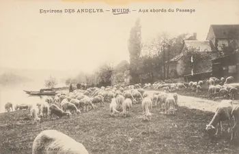 carte postale MUIDS. AUX ABORDS DU PASSAGE Eure 1903-1920 016524  Photo