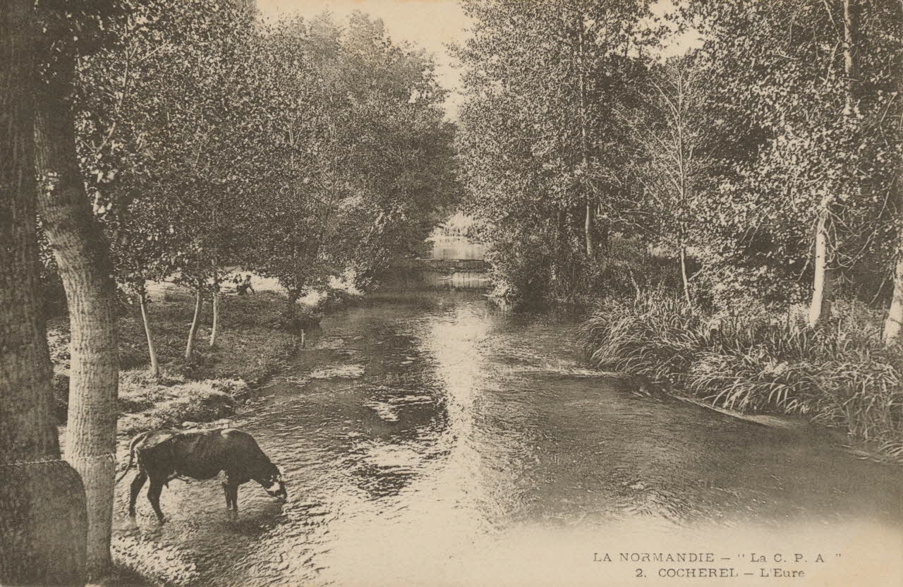 carte postale COCHEREL. L'EURE Eure 1906 016526  Photo