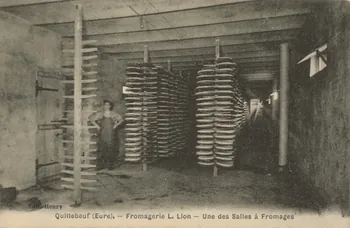 carte postale UNE DES SALLES A FROMAGES Eure 1903-1920 016532 Photo