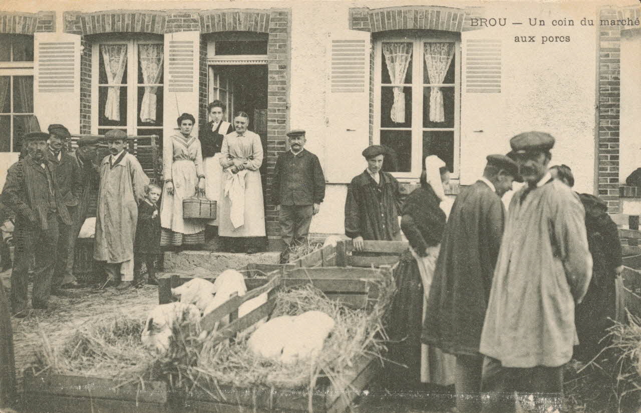 carte postale UN COIN DU MARCHE AUX PORCS Eure-et-Loir 1903-1920 017498 Photo