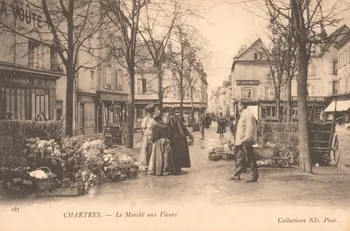 carte postale LE MARCHE AUX FLEURS Eure-et-Loir 1903-1920 017503 Photo