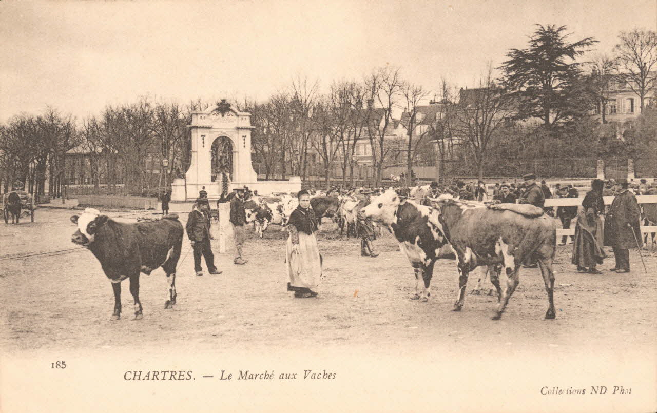 carte postale LE MARCHE AUX VACHES Eure-et-Loir 1903-1920 017506 Photo