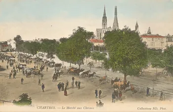 carte postale LE MARCHE AUX CHEVAUX Eure-et-Loir 1903-1920 017507 Photo