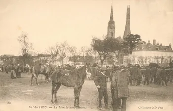 carte postale LE MARCHE AUX CHEVAUX Eure-et-Loir 1903-1920 017508 Photo