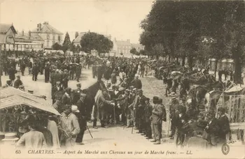 carte postale JOUR DE MARCHE FRANC Eure-et-Loir 1915 017509 Photo