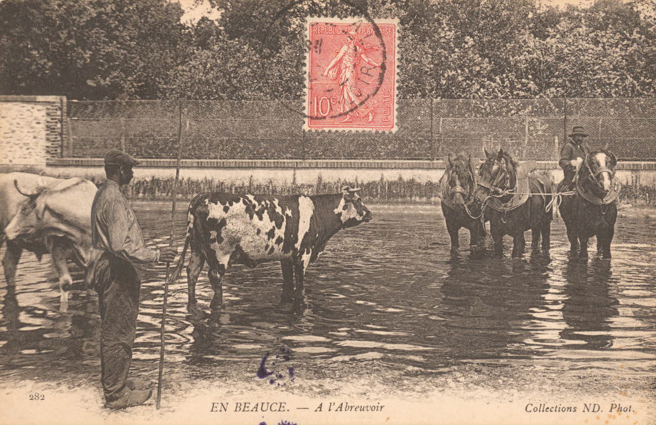 carte postale A L'ABREUVOIR 1903-1920 017537 Photo