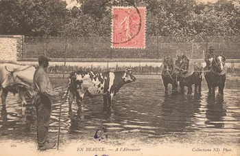 carte postale A L'ABREUVOIR 1903-1920 017537  Photo