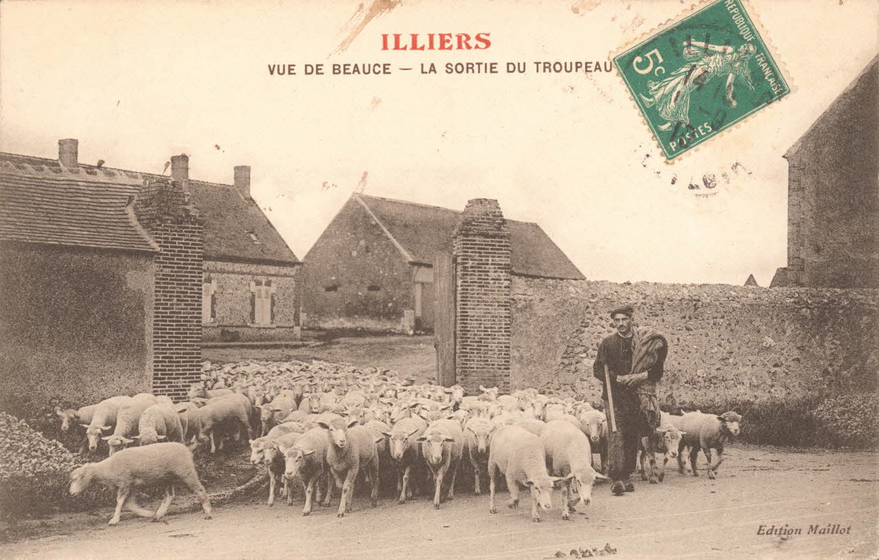 carte postale VUE DE BEAUCE. SORTIE DU TROUPEAU Eure-et-Loir 1910 017547 Photo
