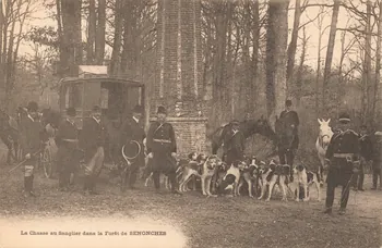 carte postale LA CHASSE AU SANGLIER Eure-et-Loir 1903-1920 017565 Photo