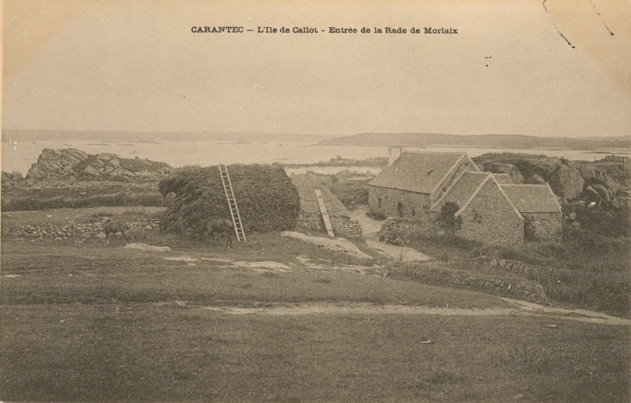 carte postale CARANTEC-ILE DE CALLOT Finistère 1903 018572 Photo