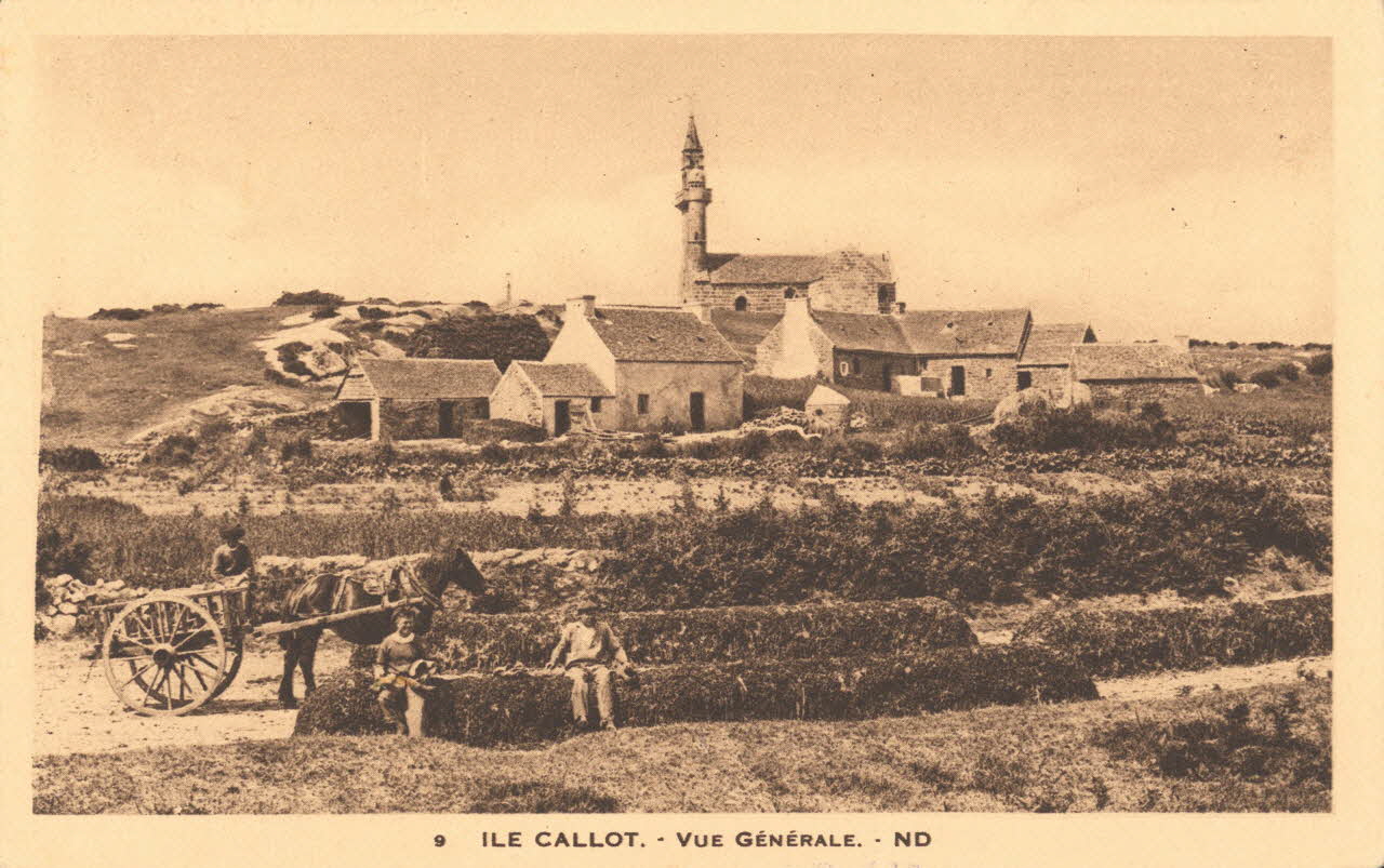 carte postale ILE CALLOT Finistère 1921-1950 018574 Photo