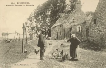 carte postale DOUARNENEZ-CHAUMIERE BRETONNE Finistère 1903-1950 018582 Photo