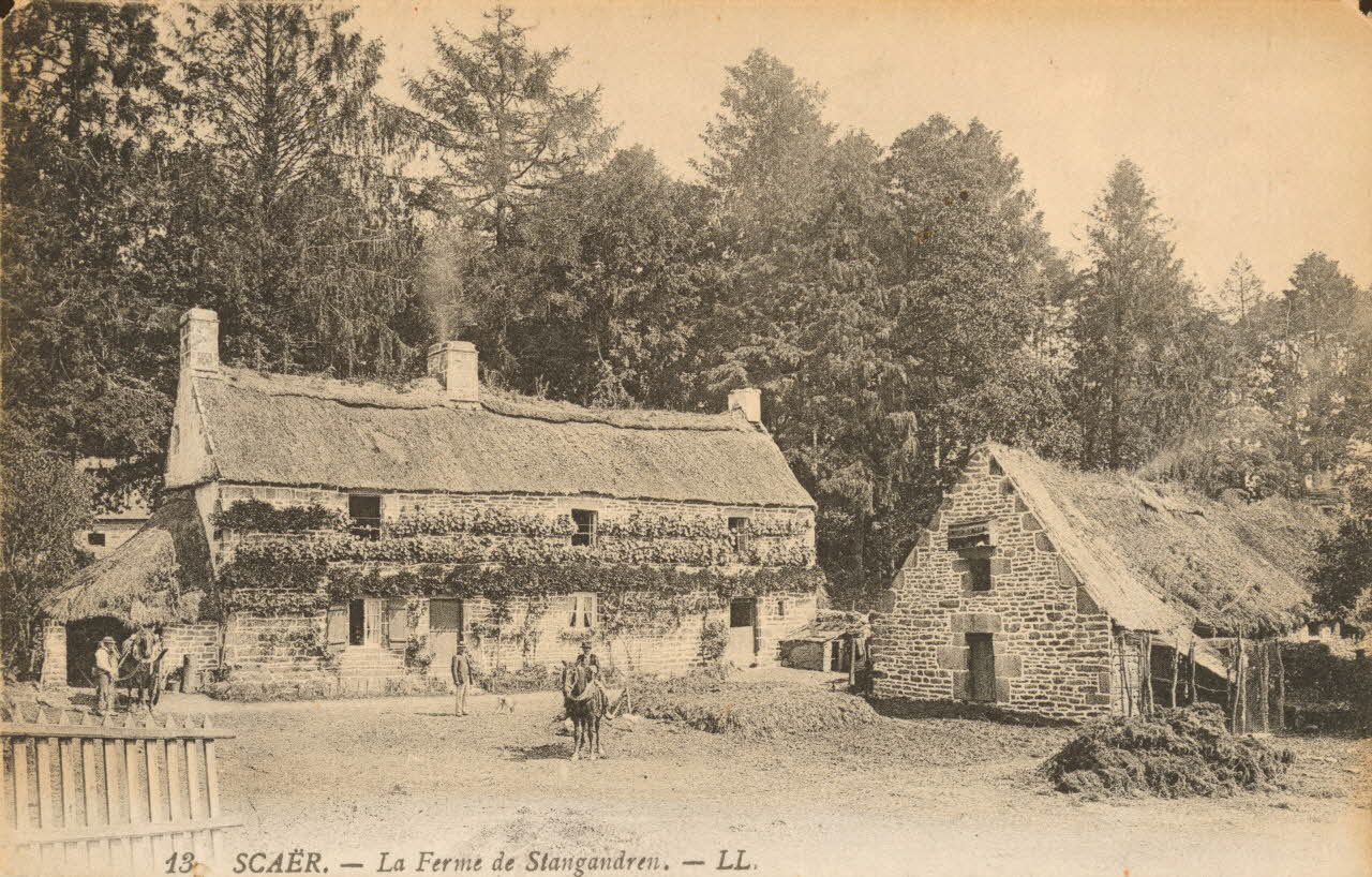carte postale SCAER-FERME DE STANGANDREN Finistère 1903-1950 018602 Photo