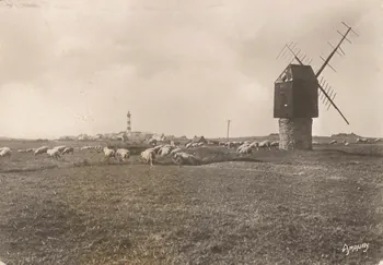 carte postale ILE D'OUSSANT-LOC GWELTAS Finistère 1950 018622 Photo