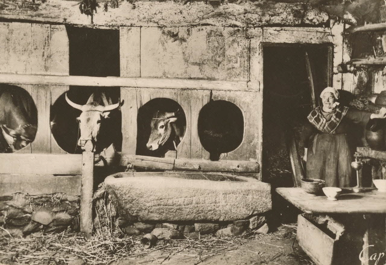 carte postale BRETAGNE Finistère 1950 018664 Photo