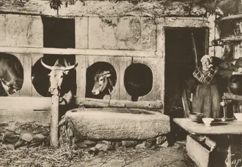 carte postale BRETAGNE Finistère 1950 018664 Photo