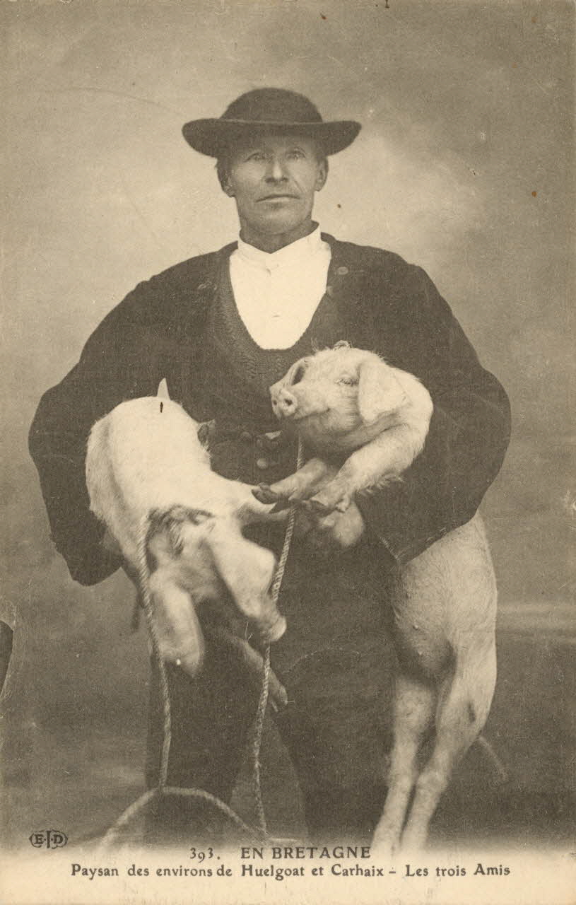 carte postale LES TROIS AMIS Finistère 1903-1920 019283 Photo
