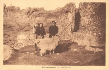 carte postale SES MOUTONS Finistère 1903-1920 019406 Photo