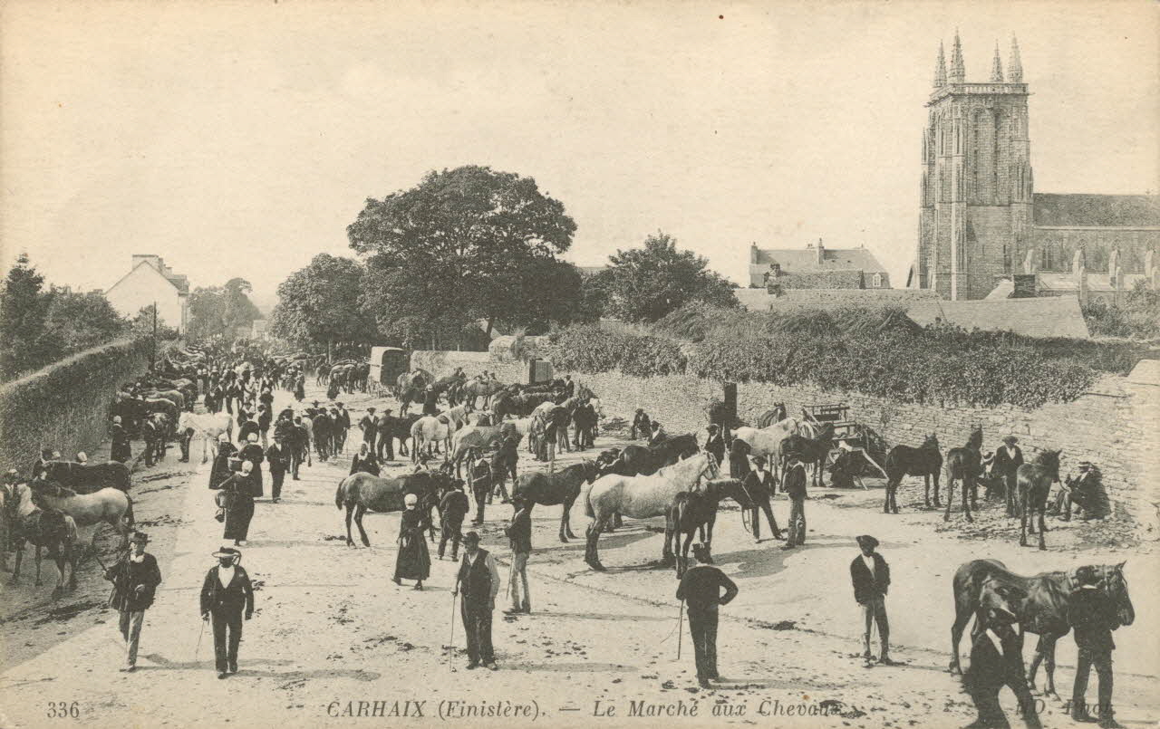 carte postale LE MARCHE AUX CHEVAUX Finistère 1903-1920 019941 Photo